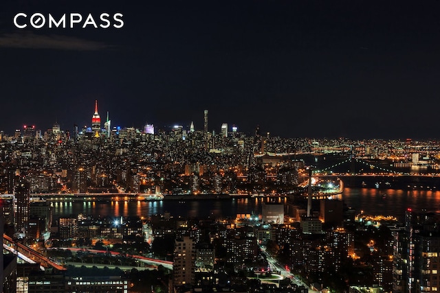 388 Bridge St Unit Ph50D, New York City, NY 11201 - city view with a view of city lights