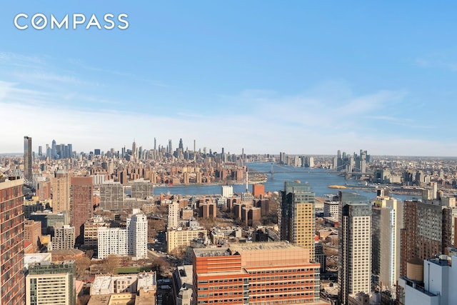 388 Bridge St Unit Ph50D, New York City, NY 11201 - skyline view with a large body of water