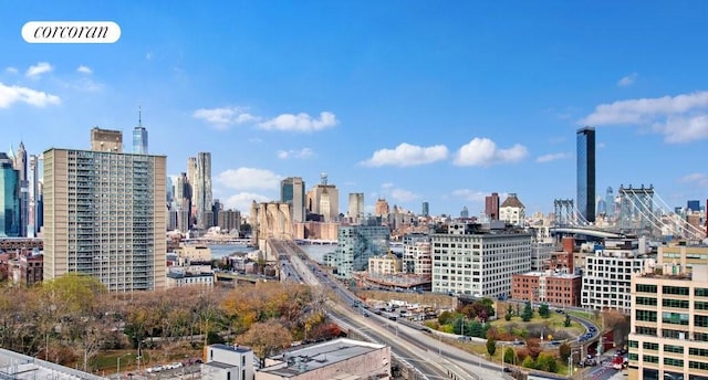 235 Adams St Unit 7B, New York City, NY 11201 - skyline view