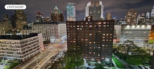 235 Adams St Unit 7B, New York City, NY 11201 - city view featuring a view of city lights