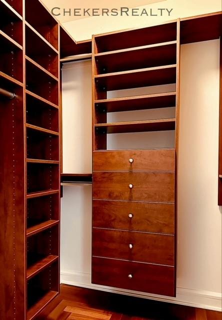 view of walk in closet