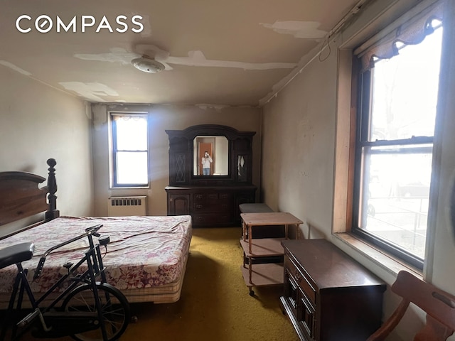 bedroom with radiator and carpet