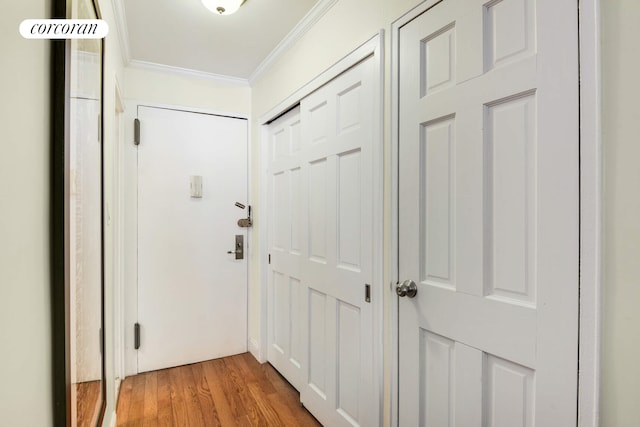 doorway to outside featuring crown molding and light wood finished floors