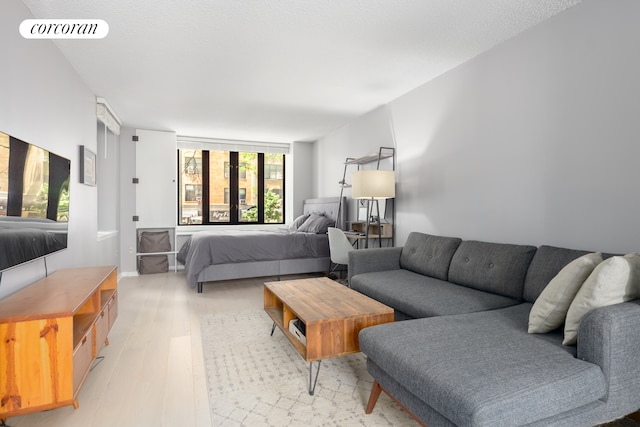 176 W 86th St Unit 2A, New York City, NY 10024 - bedroom with light wood-style flooring