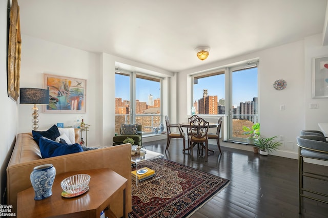 living area featuring a view of city, hardwood / wood-style flooring, and baseboards