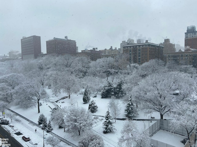 snowy aerial view with a view of city