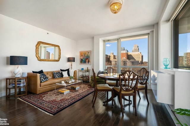 living area with dark wood-style floors, a view of city, and baseboards