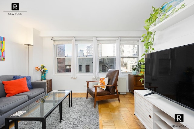 living area featuring a wealth of natural light