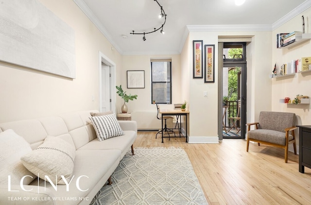 living area featuring crown molding, rail lighting, light wood-style floors, and baseboards