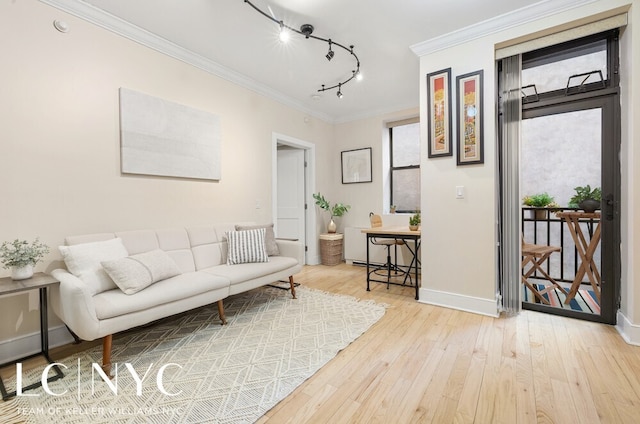 living room with track lighting, crown molding, baseboards, and hardwood / wood-style floors