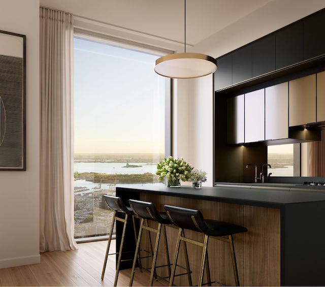 kitchen featuring dark countertops, light wood-style flooring, a water view, dark cabinetry, and a kitchen bar