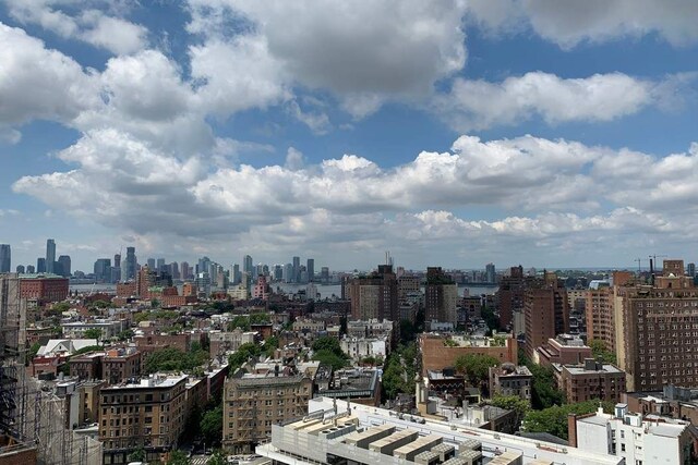 175 W 13th St Unit 3G, New York City, NY 10011 - view of city