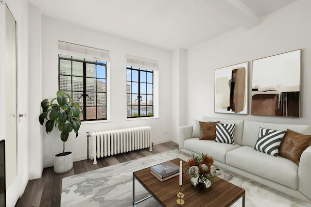 living room featuring baseboards, beamed ceiling, wood finished floors, and radiator