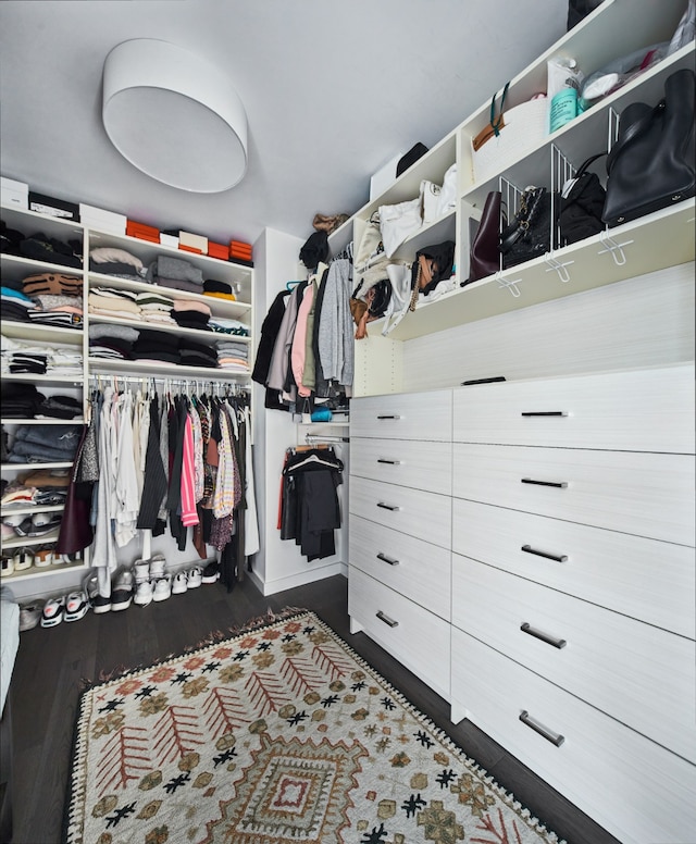 spacious closet with dark wood-style floors