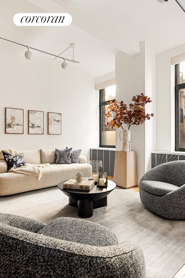 living area featuring track lighting and wood finished floors