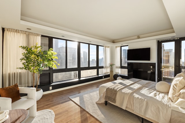 bedroom with wood finished floors and a raised ceiling