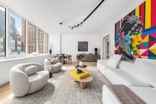 living area featuring rail lighting and wood finished floors