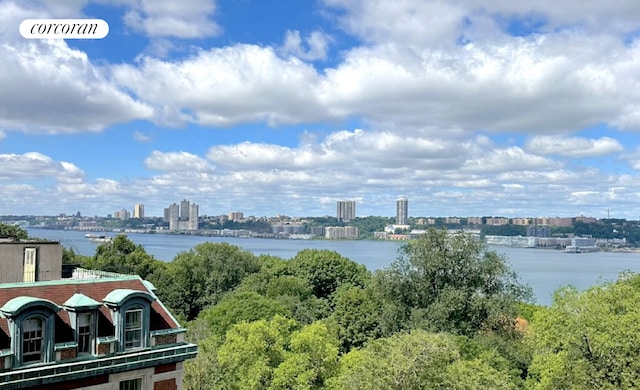 water view featuring a city view