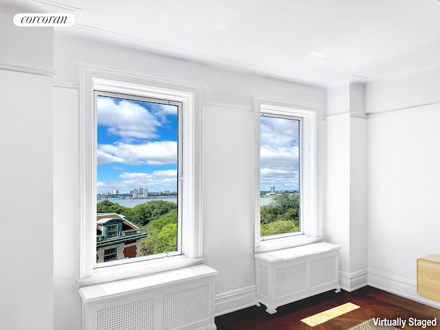 room details featuring baseboards, radiator, and visible vents