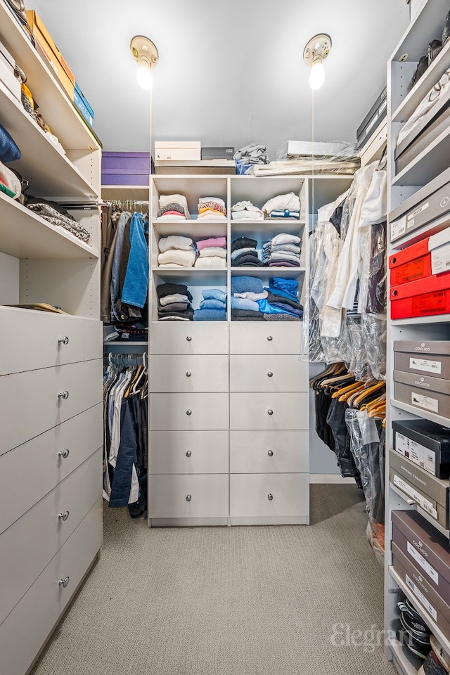 spacious closet with carpet