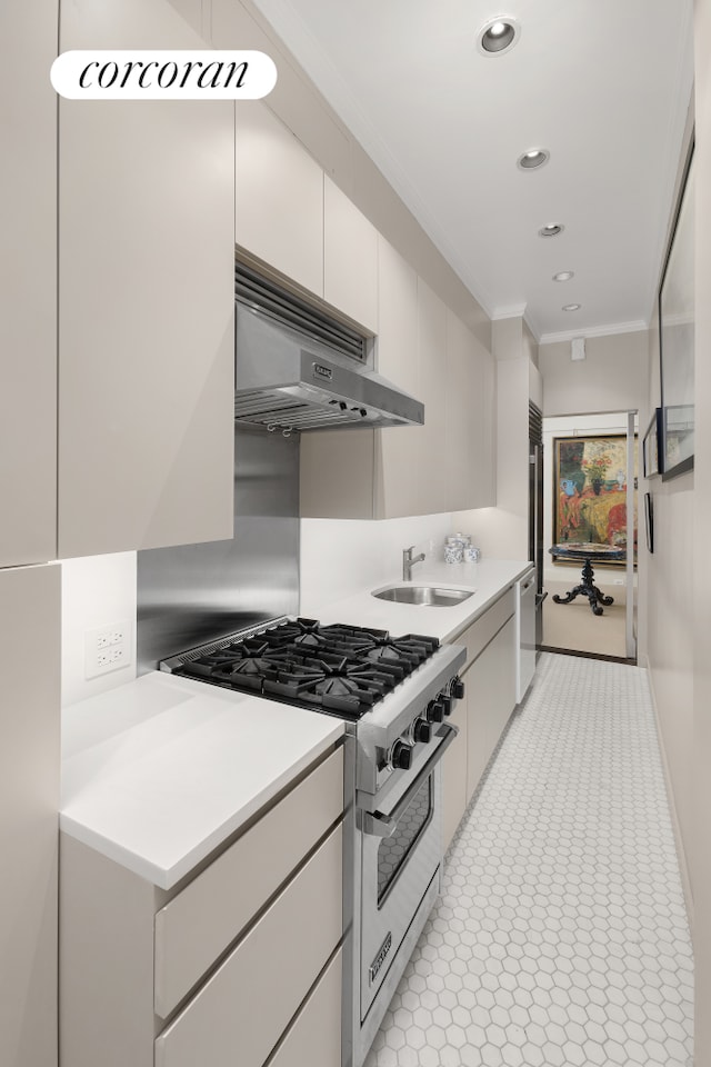 kitchen with a sink, light countertops, under cabinet range hood, appliances with stainless steel finishes, and crown molding