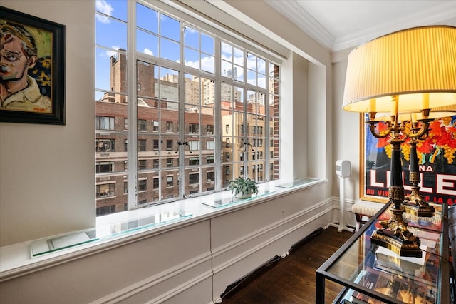 interior space featuring a view of city, ornamental molding, and dark wood finished floors