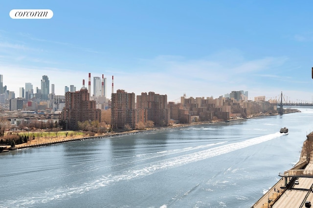 water view featuring a city view