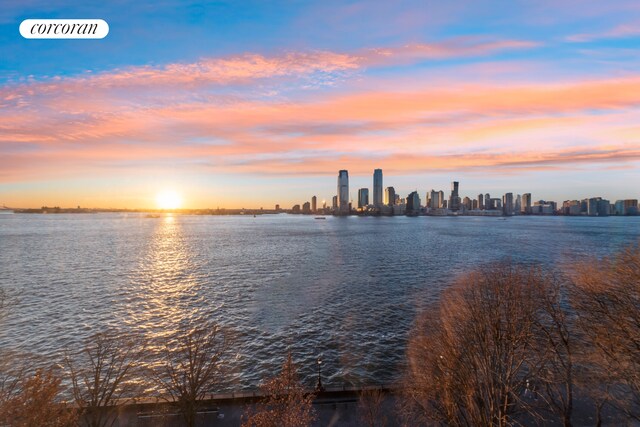 21 S End Ave Unit 722, New York City, NY 10280 - view of water feature featuring a view of city