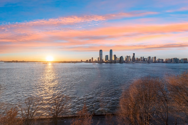 water view featuring a city view