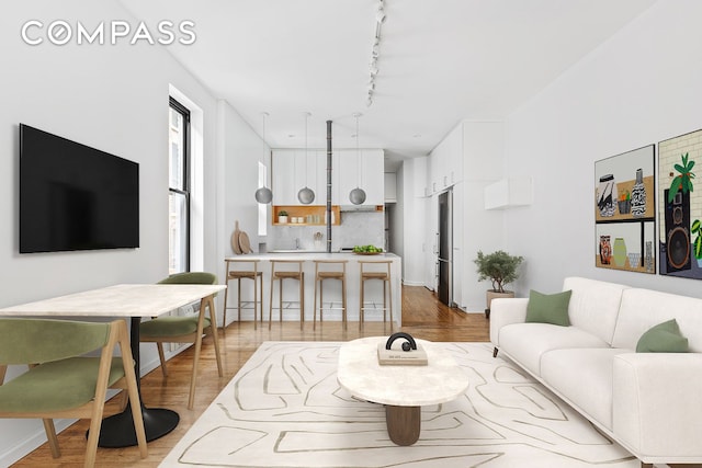 living room with light wood-type flooring and track lighting