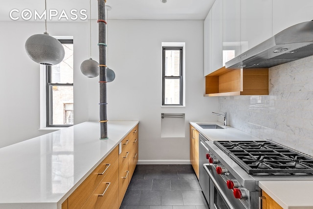 kitchen with a sink, ventilation hood, high end stainless steel range oven, tasteful backsplash, and modern cabinets