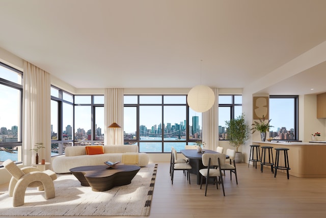 480 Kent Ave Unit 18D, New York City, NY 11249 - building lobby with a view of skyline
