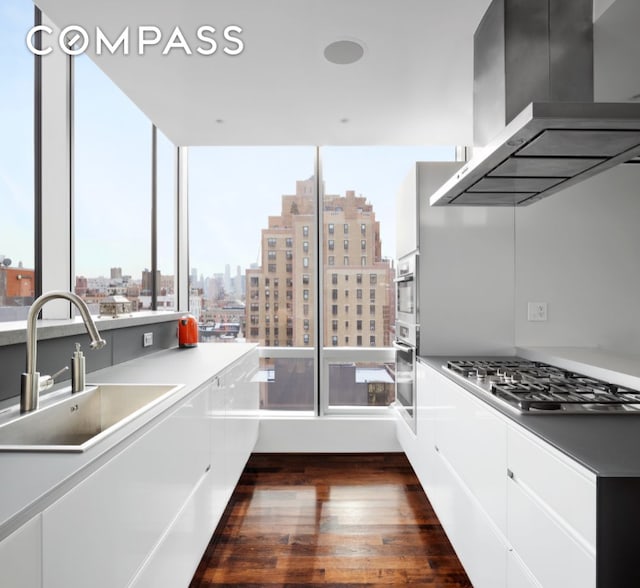 kitchen featuring a view of city, stainless steel appliances, white cabinetry, a sink, and wall chimney exhaust hood