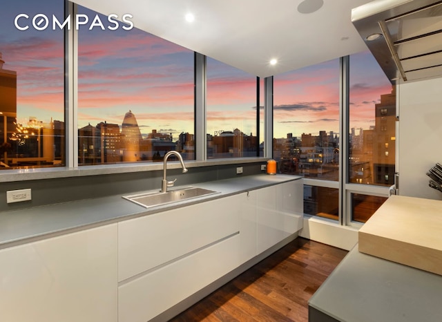 kitchen featuring a city view, a sink, white cabinets, dark wood-style floors, and modern cabinets