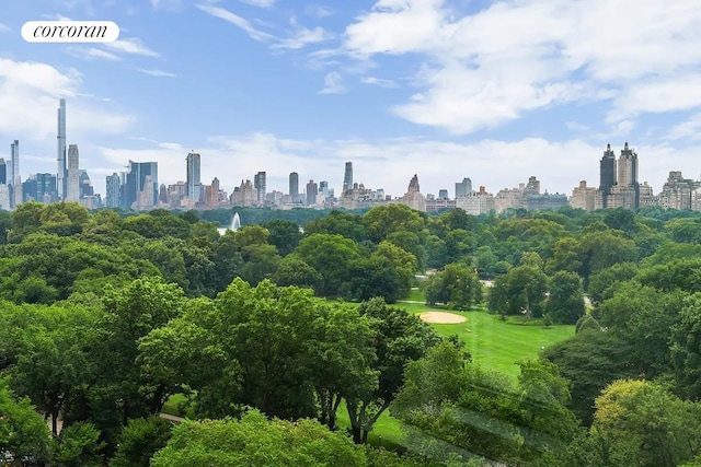 1200 5th Ave Unit 15Ab, New York City, NY 10029 - surrounding community with a skyline view and view of wooded area