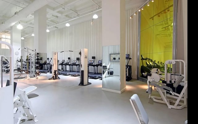 exercise room with a high ceiling