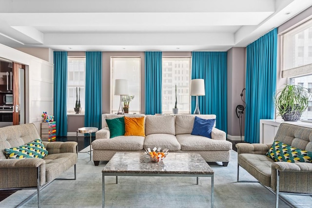 living room featuring baseboards and a raised ceiling