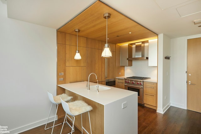 kitchen with a sink, wall chimney exhaust hood, designer range, decorative backsplash, and dark wood-type flooring