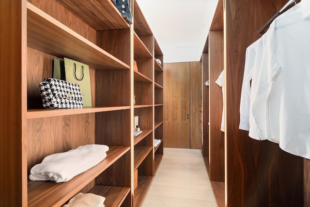 walk in closet featuring wood finished floors