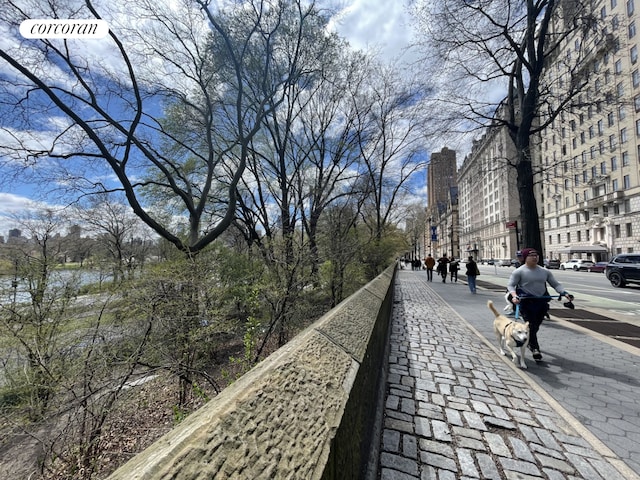34 W 76th St Unit 6Ab, New York City, NY 10023 - view of community