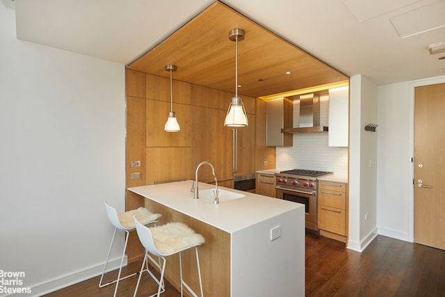 kitchen with designer stove, a sink, wall chimney range hood, decorative backsplash, and dark wood finished floors