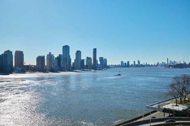 1 Beekman Pl Unit 7/8A, New York City, NY 10022 - water view with skyline