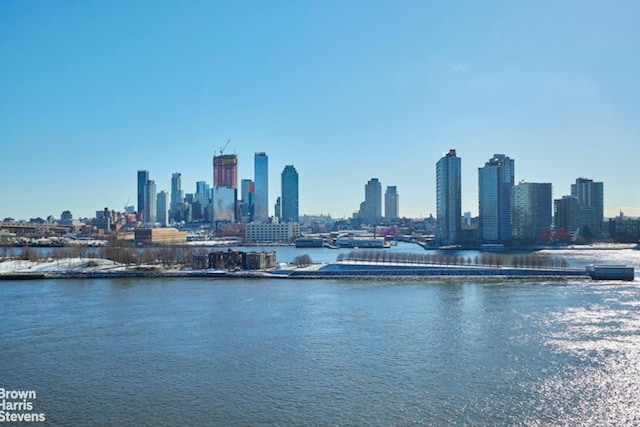 1 Beekman Pl Unit 7/8A, New York City, NY 10022 - skyline view featuring a nearby body of water