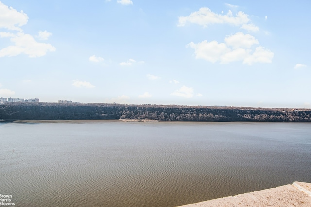 view of water feature