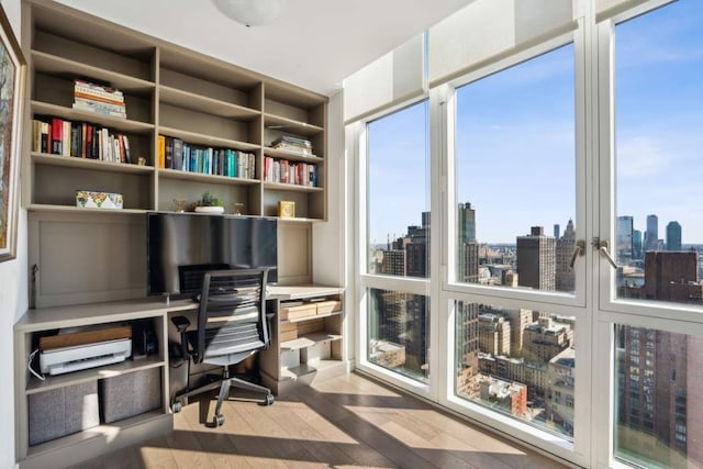 office area featuring wood finished floors