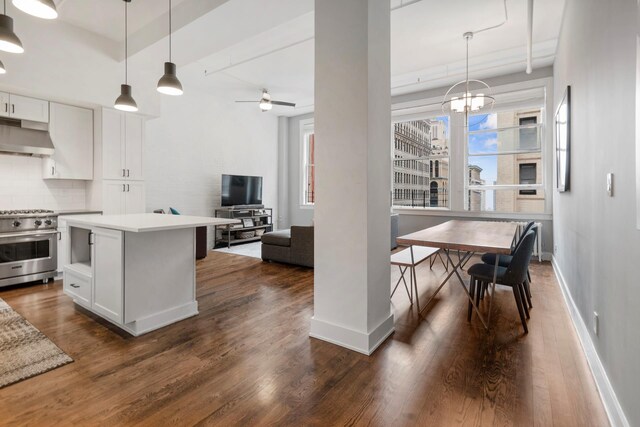 kitchen featuring under cabinet range hood, dark wood-style flooring, stainless steel range, and tasteful backsplash