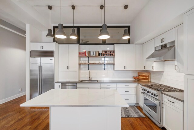 kitchen featuring dark wood-style flooring, a sink, high end appliances, decorative backsplash, and under cabinet range hood