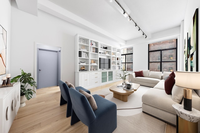 living area featuring rail lighting and wood finished floors