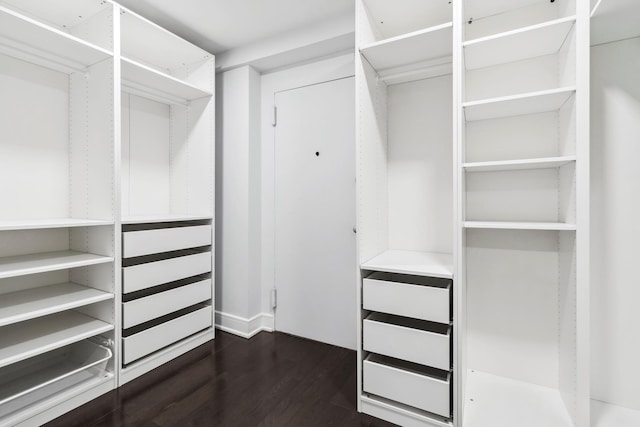 walk in closet with dark wood-type flooring