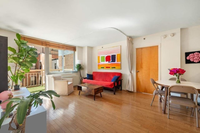 living area featuring wood-type flooring